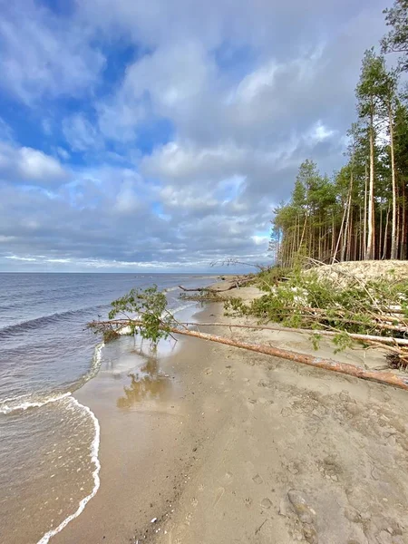 Baltische Zee Herfststrand Carnikava Gauja Rivier Letland — Stockfoto