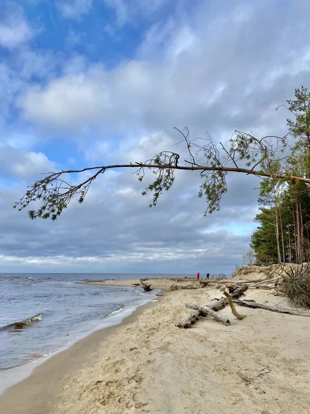 Ostsee Herbst Küste Strand Carnikava Gauja Fluss Lettland — Stockfoto