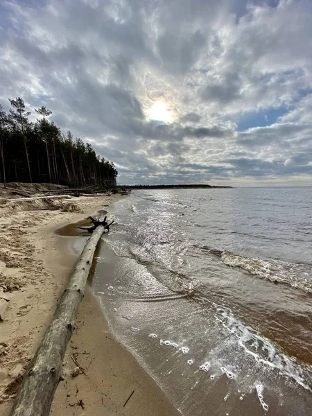 Mar Báltico Costa Otoño Playa Carnikava Río Gauja Letonia —  Fotos de Stock