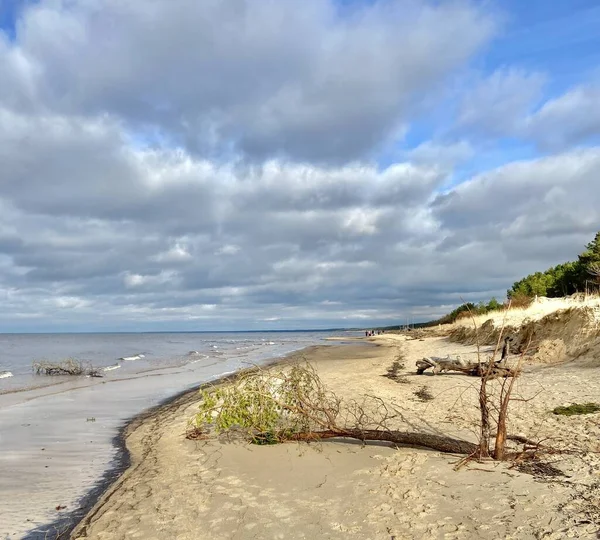 Bałtyk Morze Bałtyckie Jesienne Wybrzeże Plaża Carnikava Gauja Rzeka Łotwa — Zdjęcie stockowe