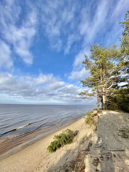 Baltische Zee Herfststrand Carnikava Gauja Rivier Letland — Stockfoto