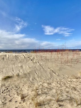 Baltık Denizi ilkbahar sahili plajı Letonya