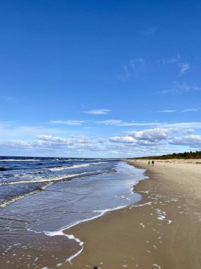 Baltık Denizi ilkbahar sahili plajı Letonya