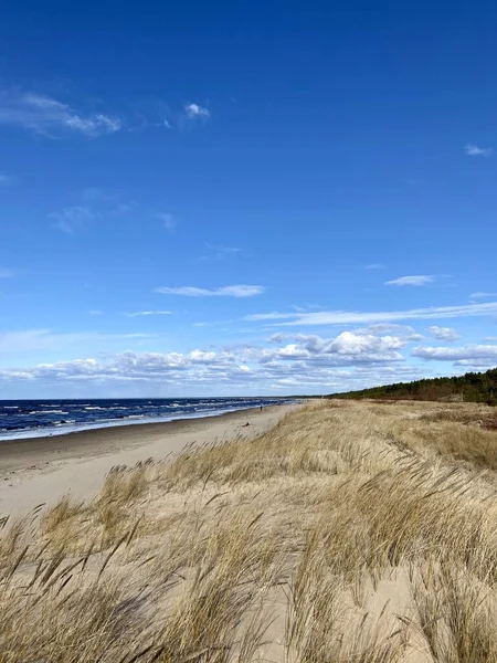 Mar Baltico Costa Primaverile Mare Spiaggia Lilaste Lettonia — Foto Stock