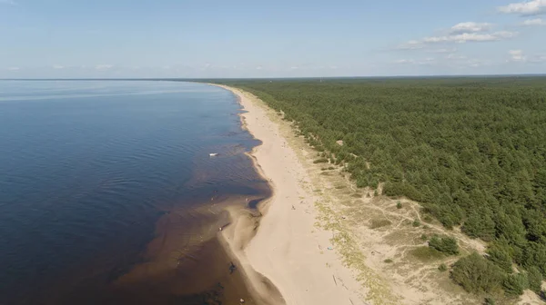 Gauja Fluss Lettland Abfluss In Die Ostsee Drone Draufsicht Feld Drohne Stock Photo 190922112