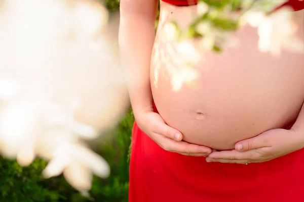 El abdomen de una embarazada —  Fotos de Stock