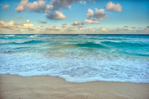 Paradies Natur, Reiher und Sommer am tropischen Strand. — Stockfoto
