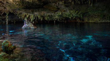 Cenote Dos Ojos
