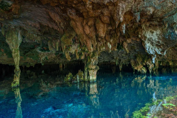 Cenote Dos Ojos Przewodniczący — Zdjęcie stockowe