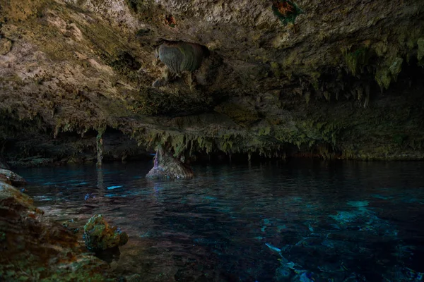 Cenote Dos Ojos — Stock Photo, Image