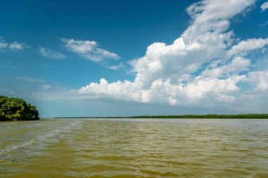 Mangrov ve Celestun gölde görünümü