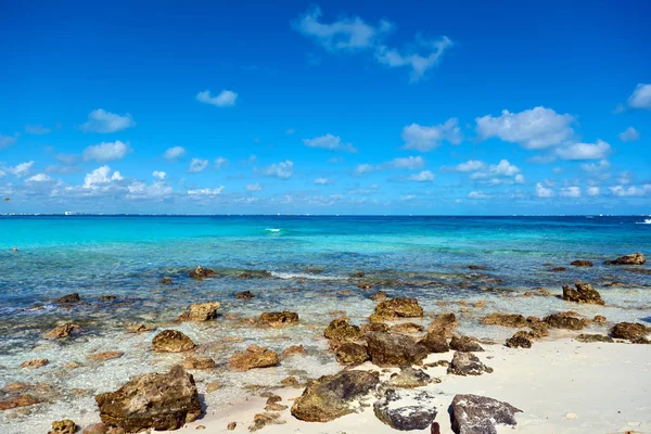 Paraíso naturaleza, garza y verano en la playa tropical . —  Fotos de Stock