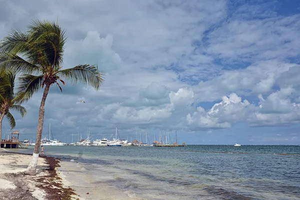 Aube sur la mer des Caraïbes — Photo