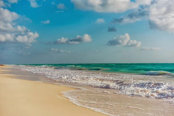 Paradiso natura, airone ed estate sulla spiaggia tropicale . — Foto Stock