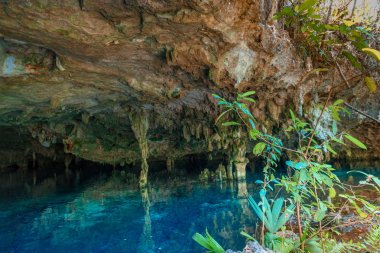 Cenote Dos Ojos