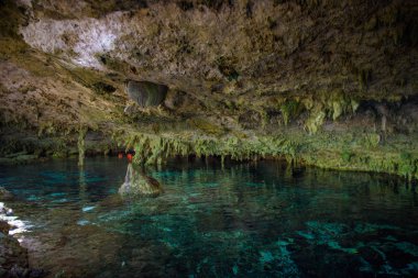 Cenote Dos Ojos