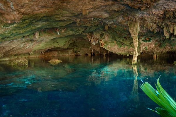 Cenote Dos Ojos — ストック写真