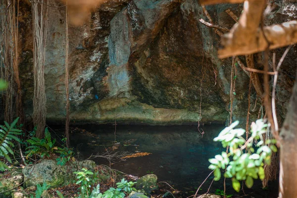 Cenote Dos Ojos — Stock Photo, Image