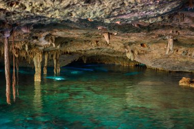Cenote Dos Ojos