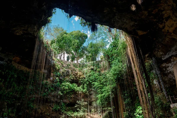 Cenote Ecoturistico Ik-Kil — Fotografia de Stock