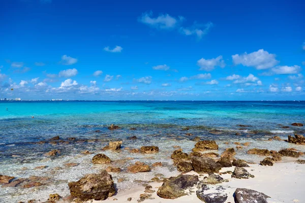 Paradiso natura, airone ed estate sulla spiaggia tropicale . — Foto Stock