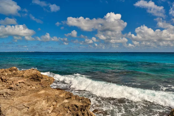 Paradies Natur, Reiher und Sommer am tropischen Strand. — Stockfoto