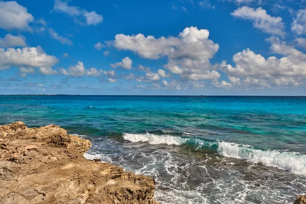 Paraíso naturaleza, garza y verano en la playa tropical . —  Fotos de Stock