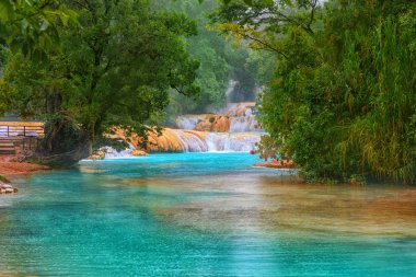 Cascadas de Agua Azul waterfalls. Agua Azul. Yucatan. Mexico clipart