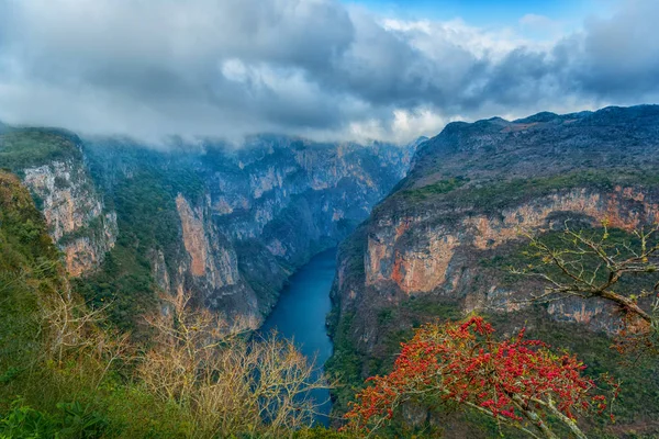 Kanyon del Sumidero Milli Parkı