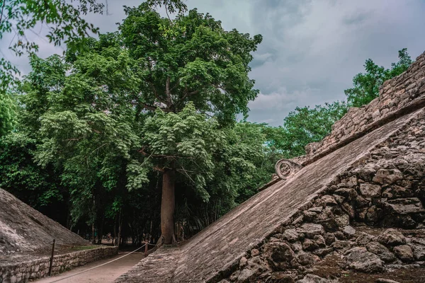 Ερείπια Της Πόλης Coba Των Μάγια Στο Μεξικό — Φωτογραφία Αρχείου