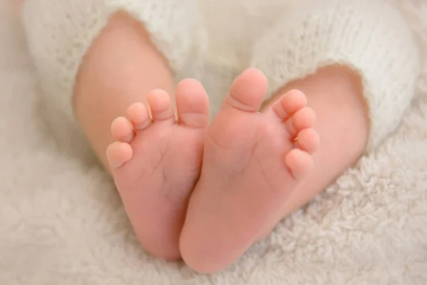 用布包着的新生婴儿的漂亮的小脚. — 图库照片