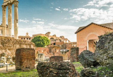 Roma Forumu, Roma kalıntıları