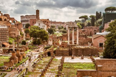 Roma forumu Roma 'da