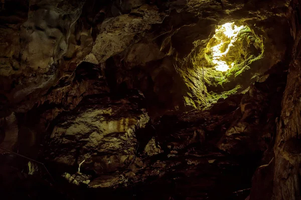 Entrance to the karst cave — Stock Photo, Image