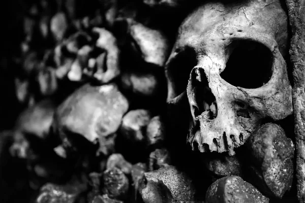 The skulls and bones in the Catacombs of Paris