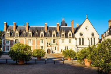 Chateau de Blois, France