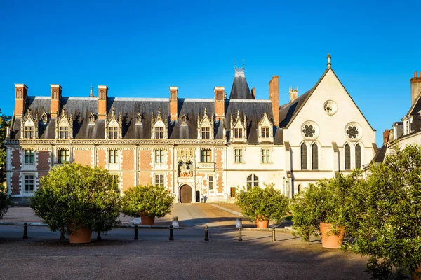 Chateau de Blois, France — Zdjęcie stockowe