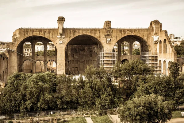 Basilica of Maxentius and Constantine in Rome — Stock Photo, Image