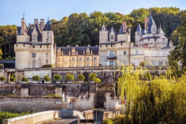 Schloss Schloss d 'usse, Frankreich — Stockfoto
