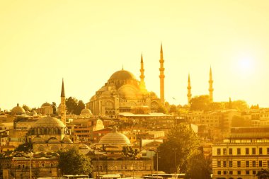 Istanbul Haliç, Türkiye tarafından