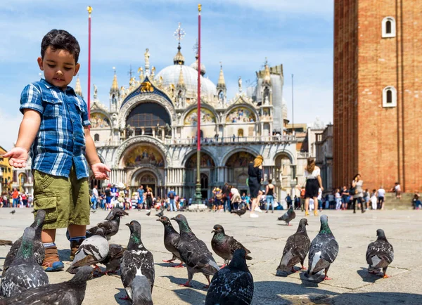 Piazza San Marco em Veneza, Itália — Fotografia de Stock