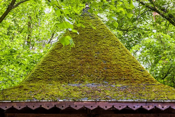 Opuštěné dřevěné Letohrádek — Stock fotografie