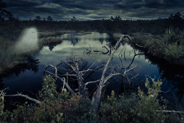 Mysterious night forest and ghost — Stock Photo, Image