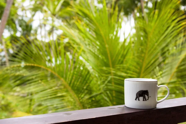 Breakfast in a tropical hotel — Stock Photo, Image