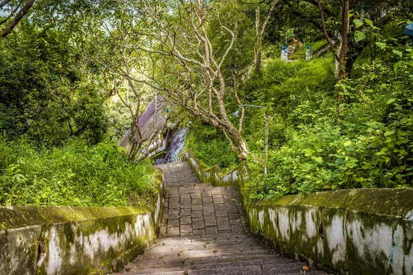 斯里兰卡古代佛教寺庙的楼梯 — 图库照片