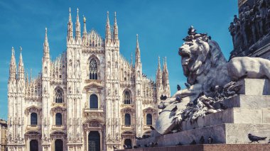 Aslan ve Milano Katedrali'ne, Milano, İtalya