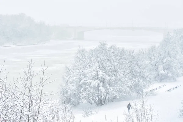 Paisagem Inverno Moscou Rússia Homem Caminha Parque Perto Rio Moskva — Fotografia de Stock