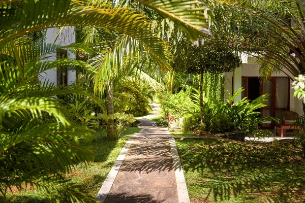 Aménagement paysager naturel dans un hôtel tropical — Photo