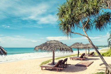 Sri Lanka tropik sahilde şemsiyelerle Beach yatak