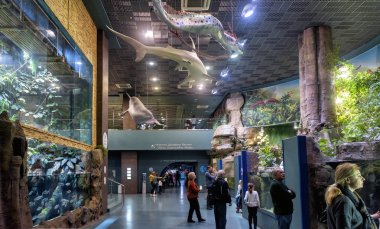 Su Hayvanat Bahçesi iç Moskova panoramik manzaralı